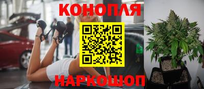 тгк Партизанск