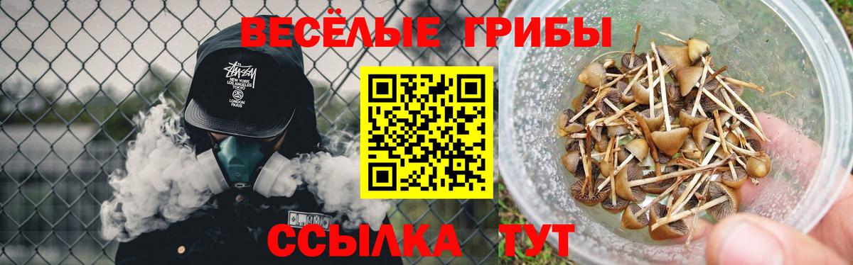 наркотики  Вход с VPN  Галлюциногенные грибы GOLDEN TEACHER  Сургут  Галлюциногенные грибы Psilocybe 