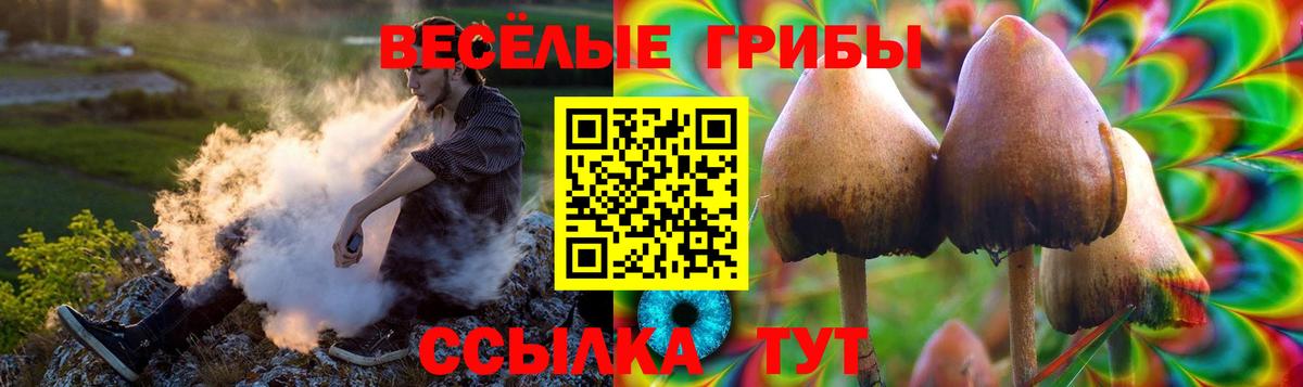 Псилоцибиновые грибы мицелий Сургут